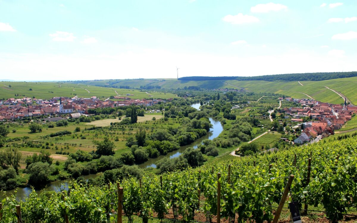 Blick von der Vogelsburg Volkach auf Mainschleife Blick von der Vogelsburg Volkach auf Mainschleife