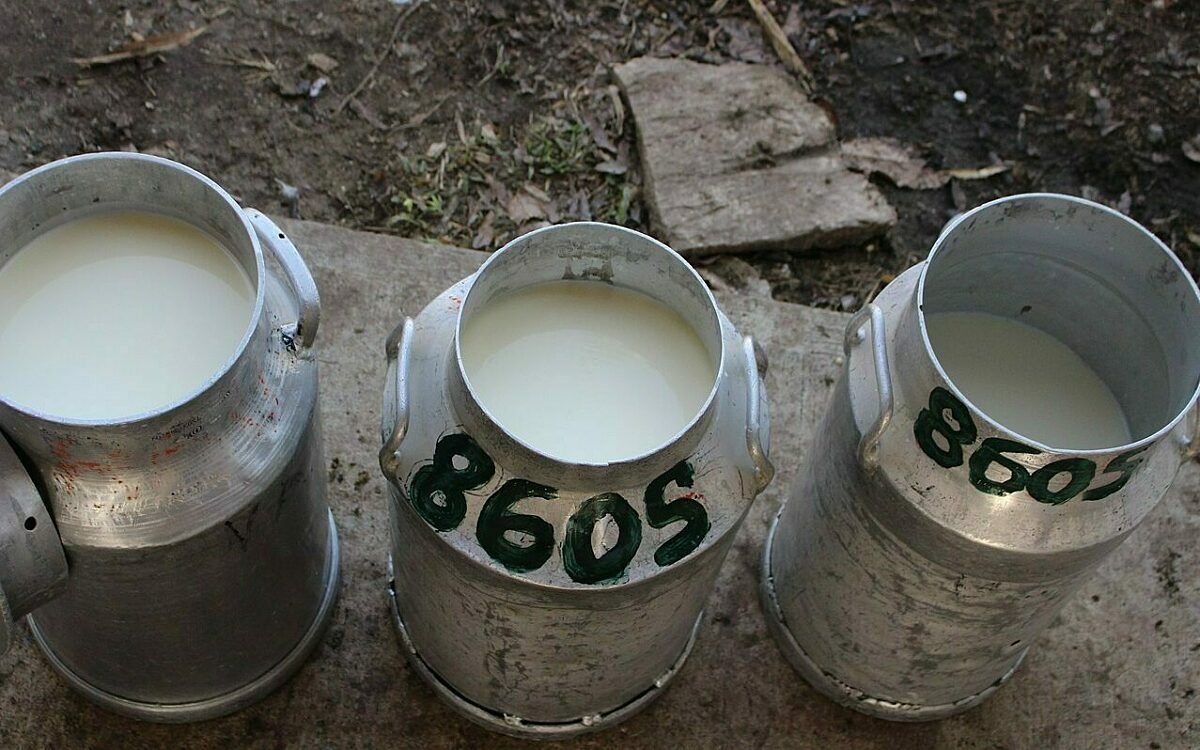 Drei Milchkannen nebeneinander Drei Milchkannen nebeneinander