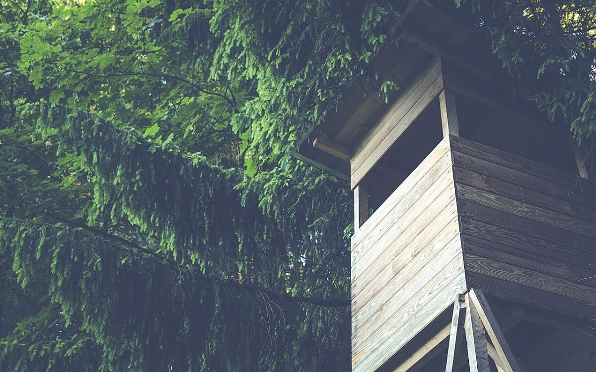 Ein Jäger Hochsitz im Wald Ein Jäger Hochsitz im Wald