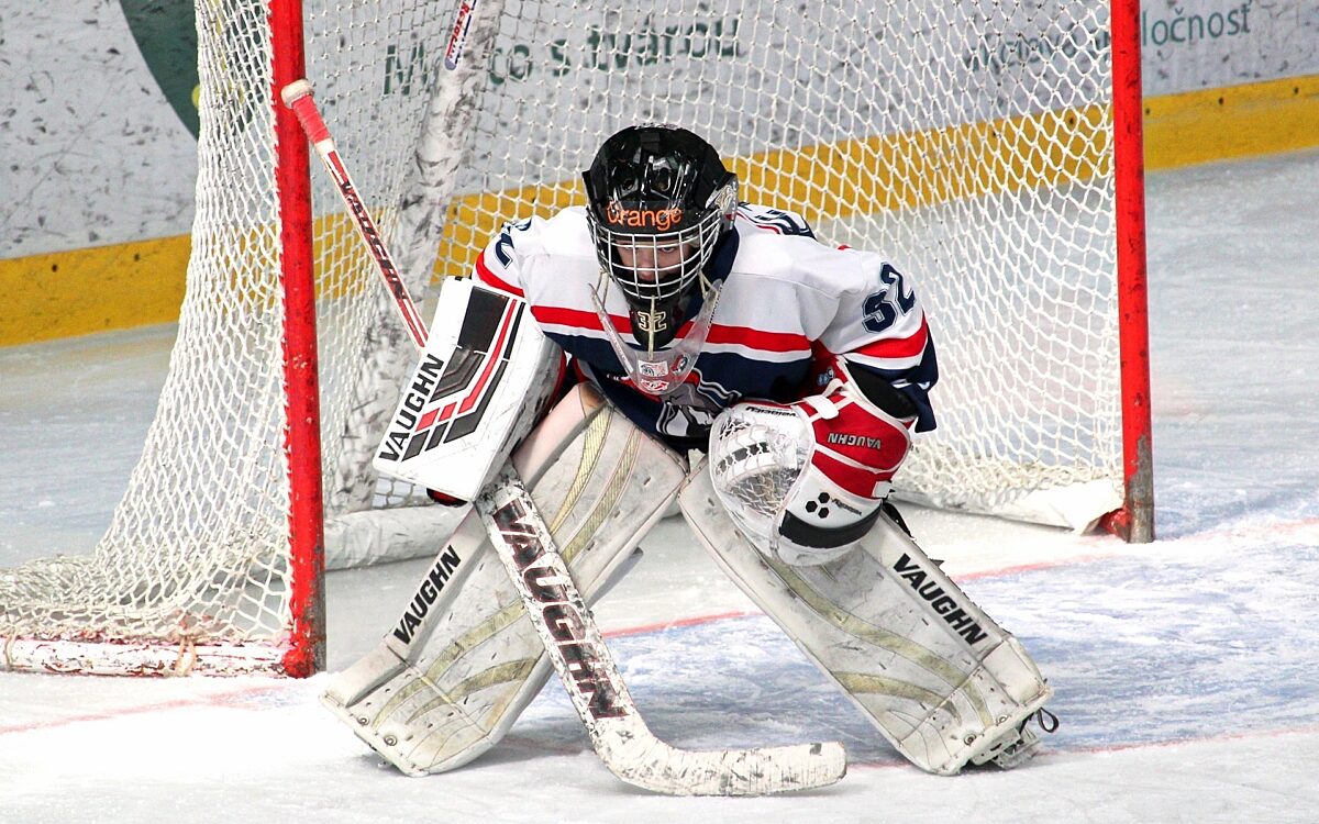Ein Eishockeyschläger und ein Puck. Ganz klar: Hier geht es um Eishockey Ein Eishockeyschläger und ein Puck. Ganz klar: Hier geht es um Eishockey