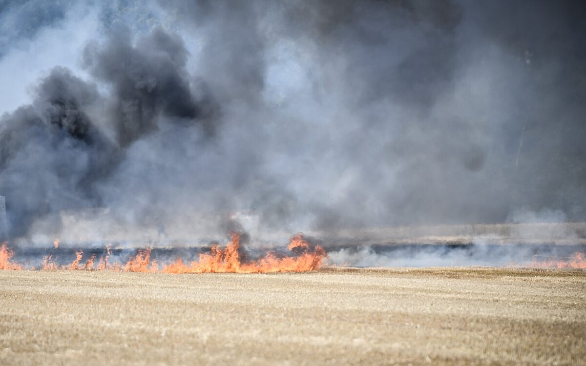 Ein Feld steht in Flammen, dichter Rauch ist zu sehen Ein Feld steht in Flammen, dichter Rauch ist zu sehen