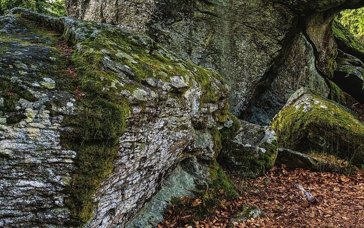 Ein felsiger Steilhang mit Gestein und Laub Ein felsiger Steilhang mit Gestein und Laub
