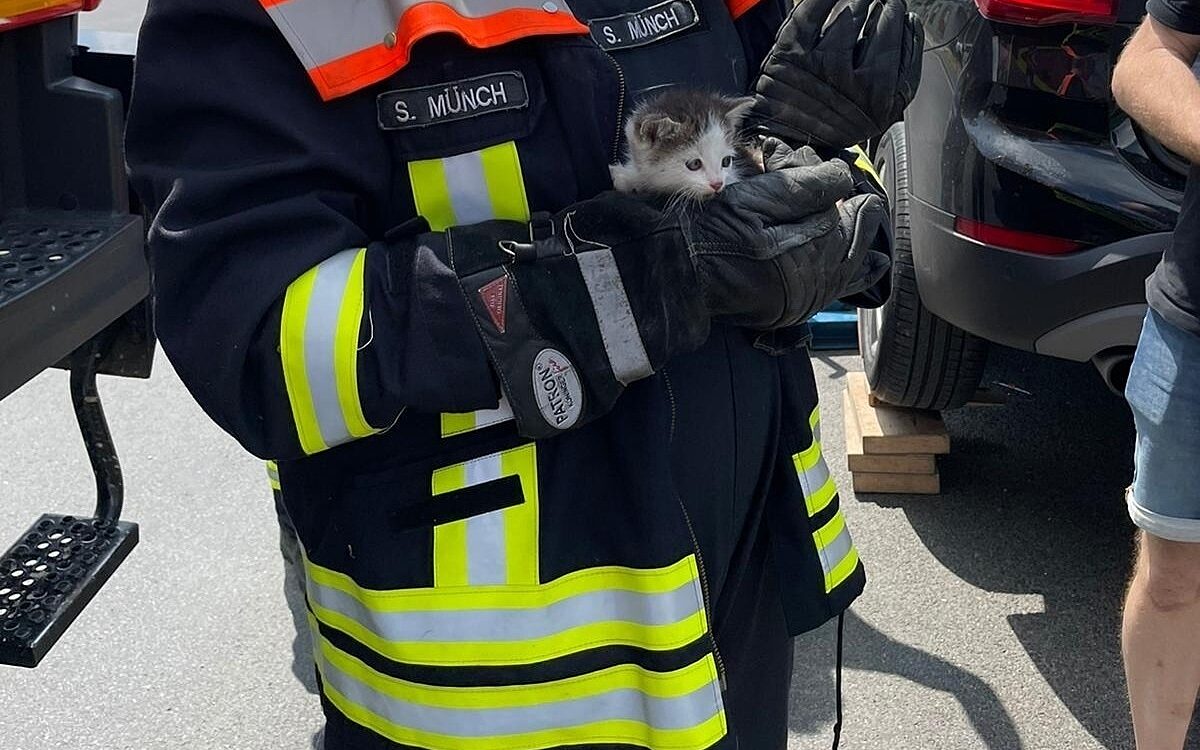 Feuerwehr Kitzingen hält eine gerettete Katze Feuerwehr Kitzingen hält eine gerettete Katze