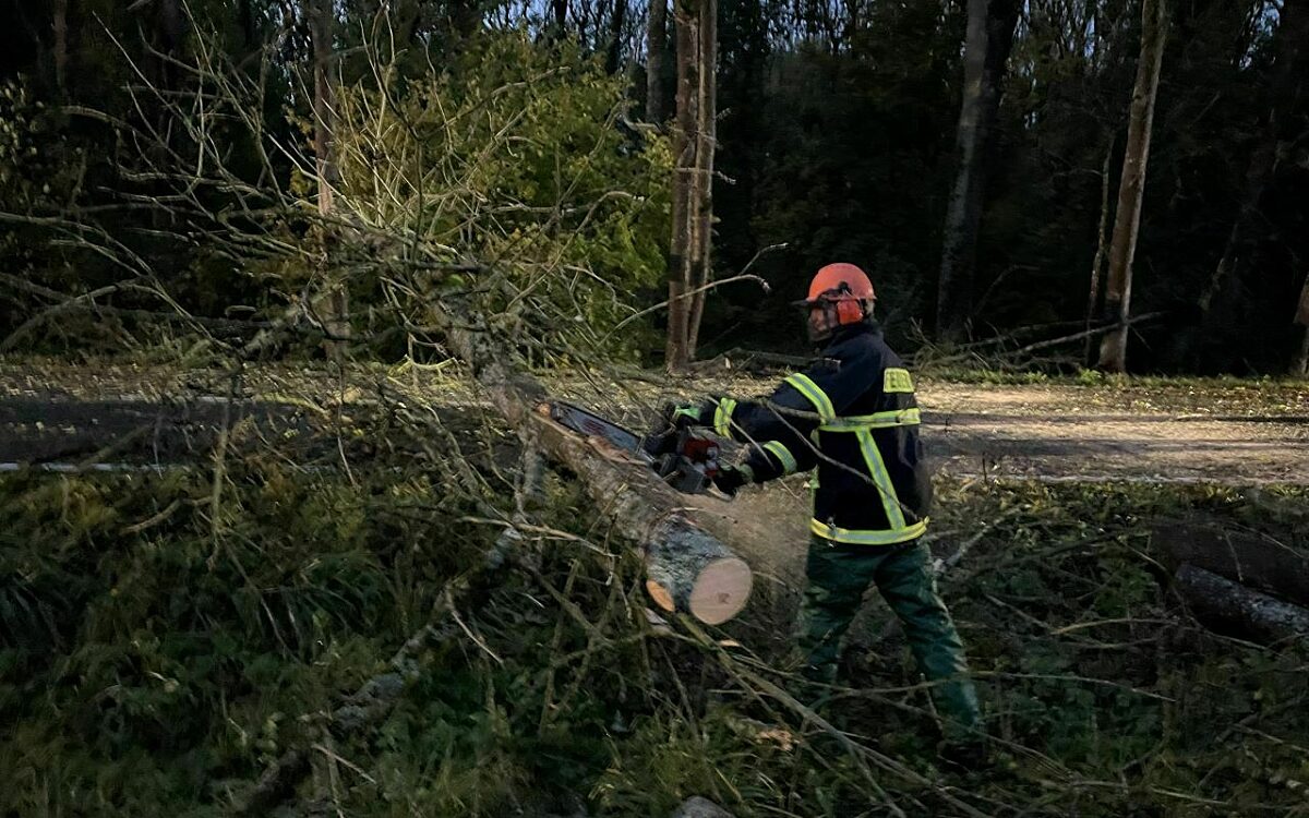 Ein Archivbild der Feuerwehr, wie sie einen umgestürzten Baum zerlegt Ein Archivbild der Feuerwehr, wie sie einen umgestürzten Baum zerlegt