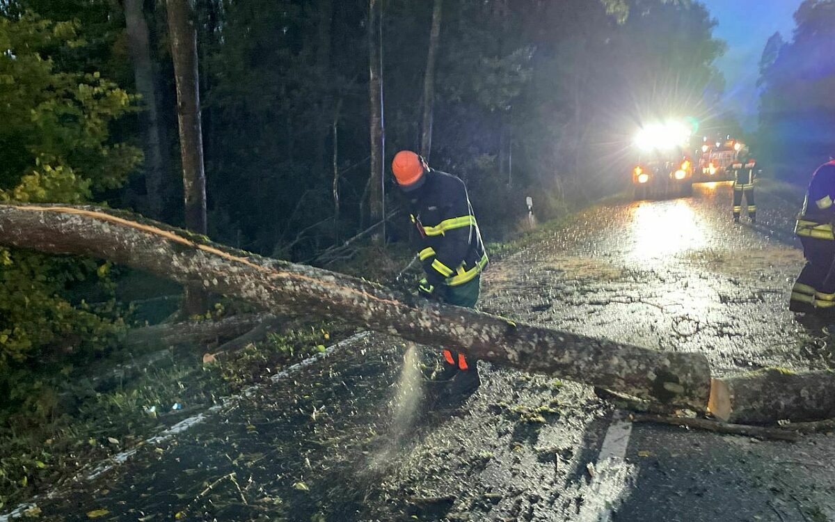 Ein Feuerwehrmann zersägt einen Baum Ein Feuerwehrmann zersägt einen Baum