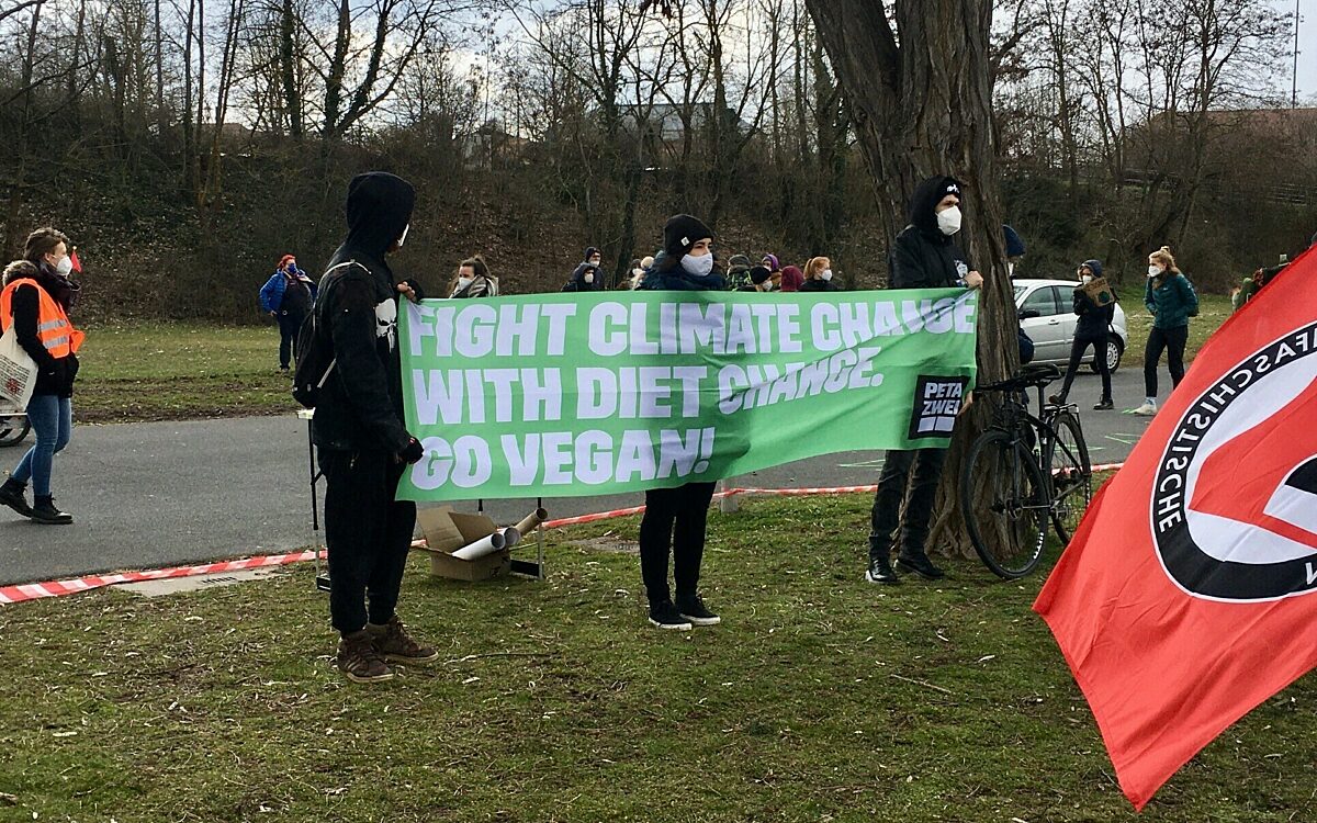 Fridays for Future Demo in Würzburg Fridays for Future Demo in Würzburg