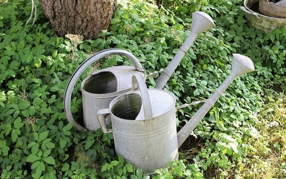 Zwei Gießkannen stehen unter einem Baum Zwei Gießkannen stehen unter einem Baum