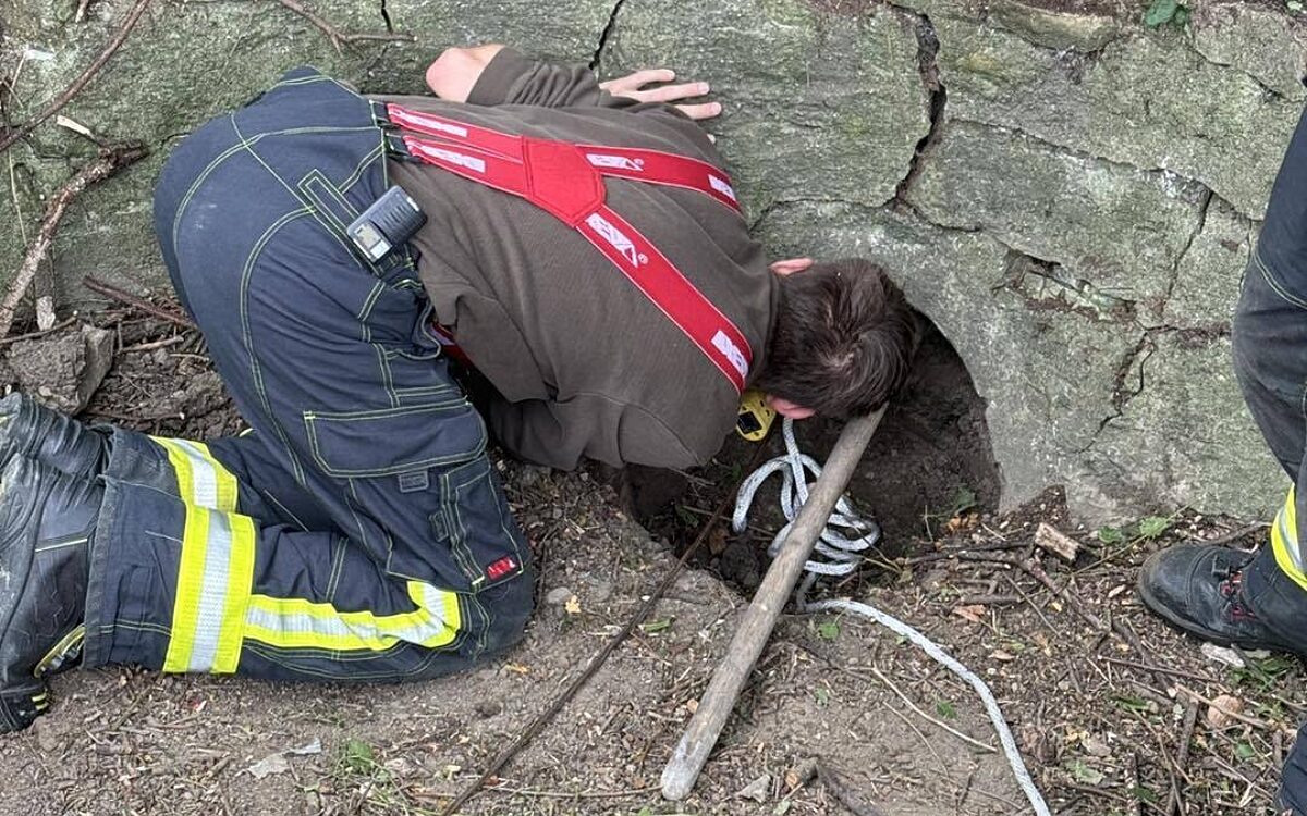 Große Rettungsaktion für eine kleine Katze in Gebrunn Große Rettungsaktion für eine kleine Katze in Gebrunn