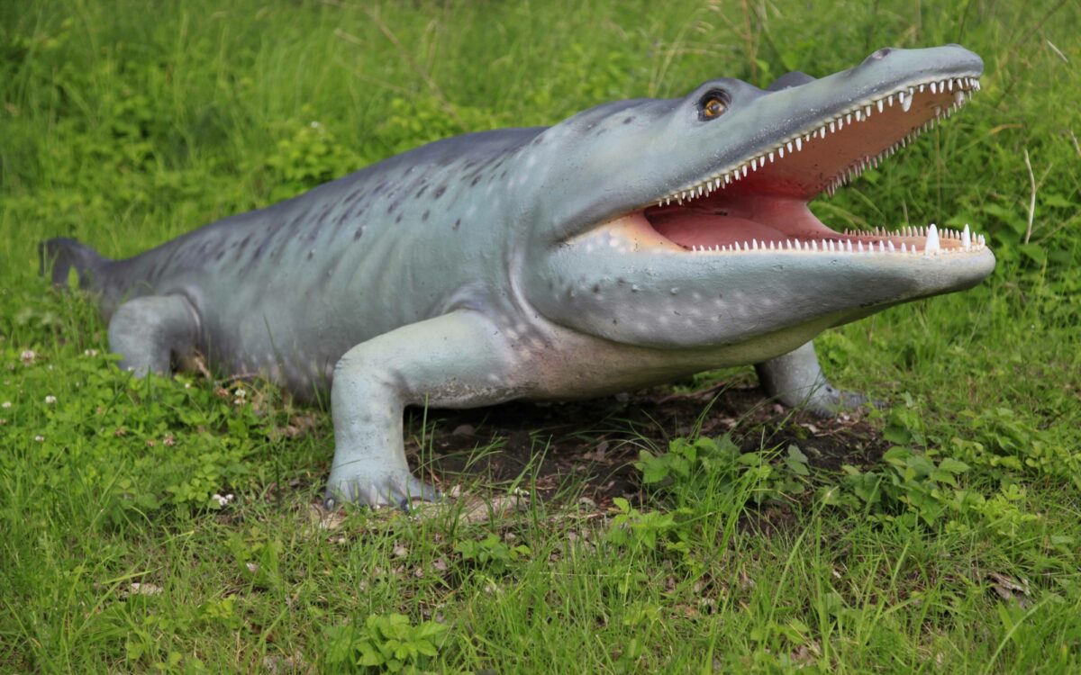 So sah ein Mastodonsaurus aus So sah ein Mastodonsaurus aus