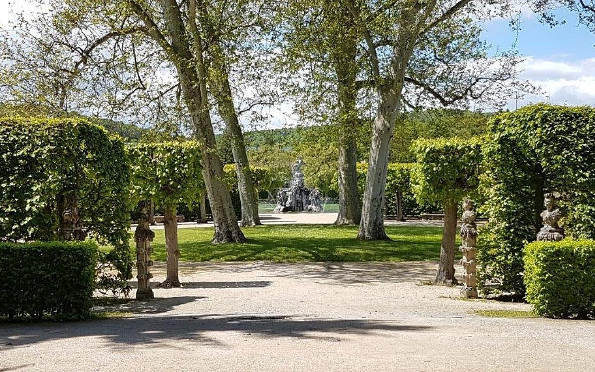 Ein Weg und schön geschnittene Büsche im Rokkokogarten Veitshöchheim Ein Weg und schön geschnittene Büsche im Rokkokogarten Veitshöchheim