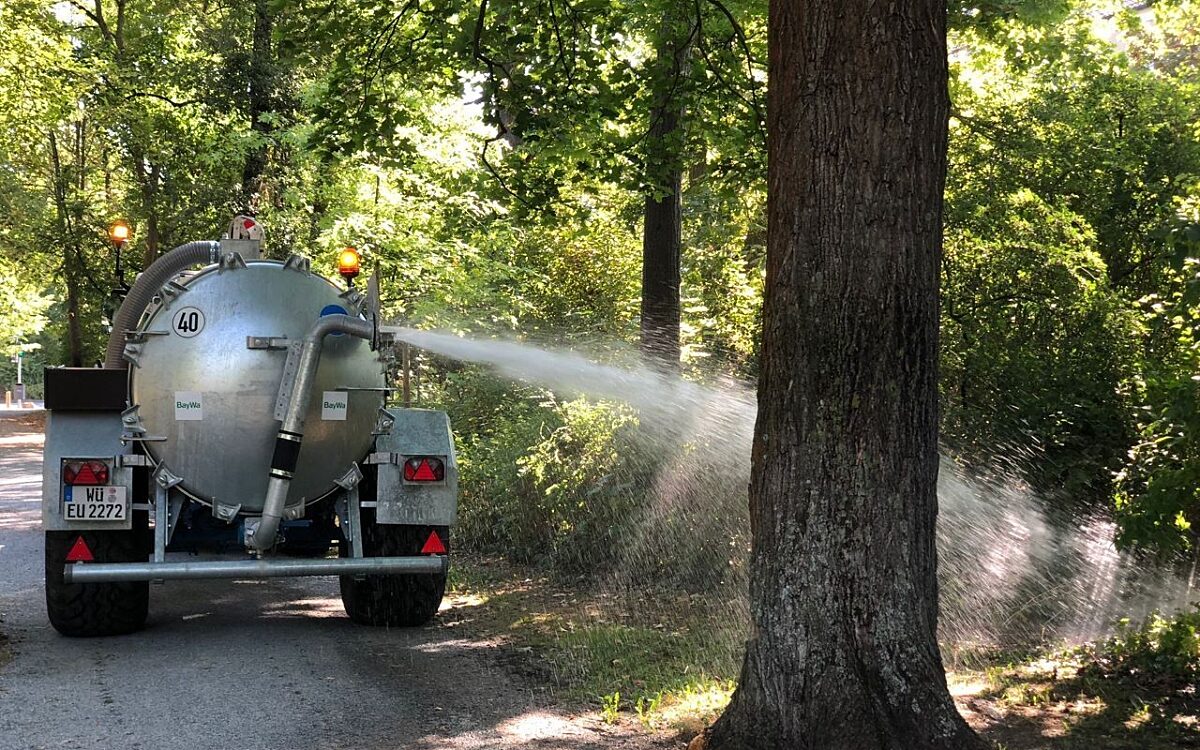 Ein Pumptankwagen gießt Pflanzen im Ringpark Ein Pumptankwagen gießt Pflanzen im Ringpark