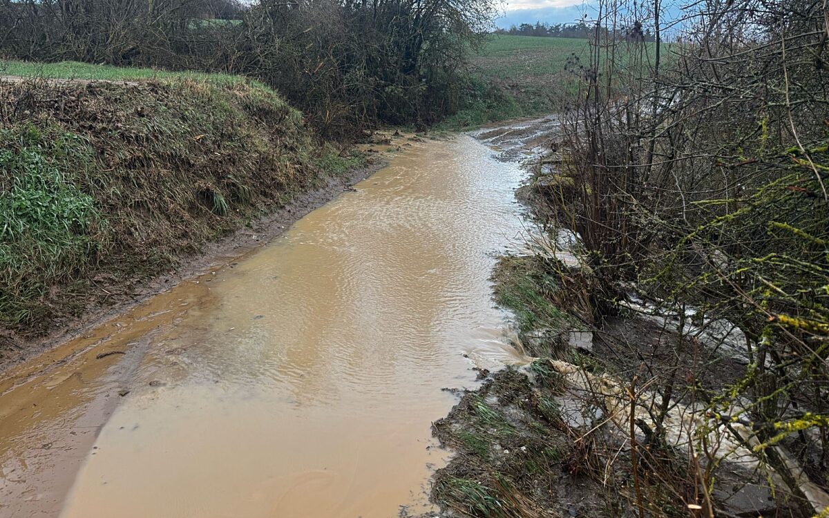 Randersacker2 Randersacker2