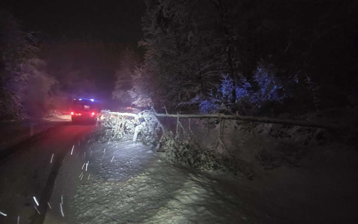 Ein unter der Schneelast umgestürzter Baum. Das Bild stammt aus dem Landkreis Kitzingen
