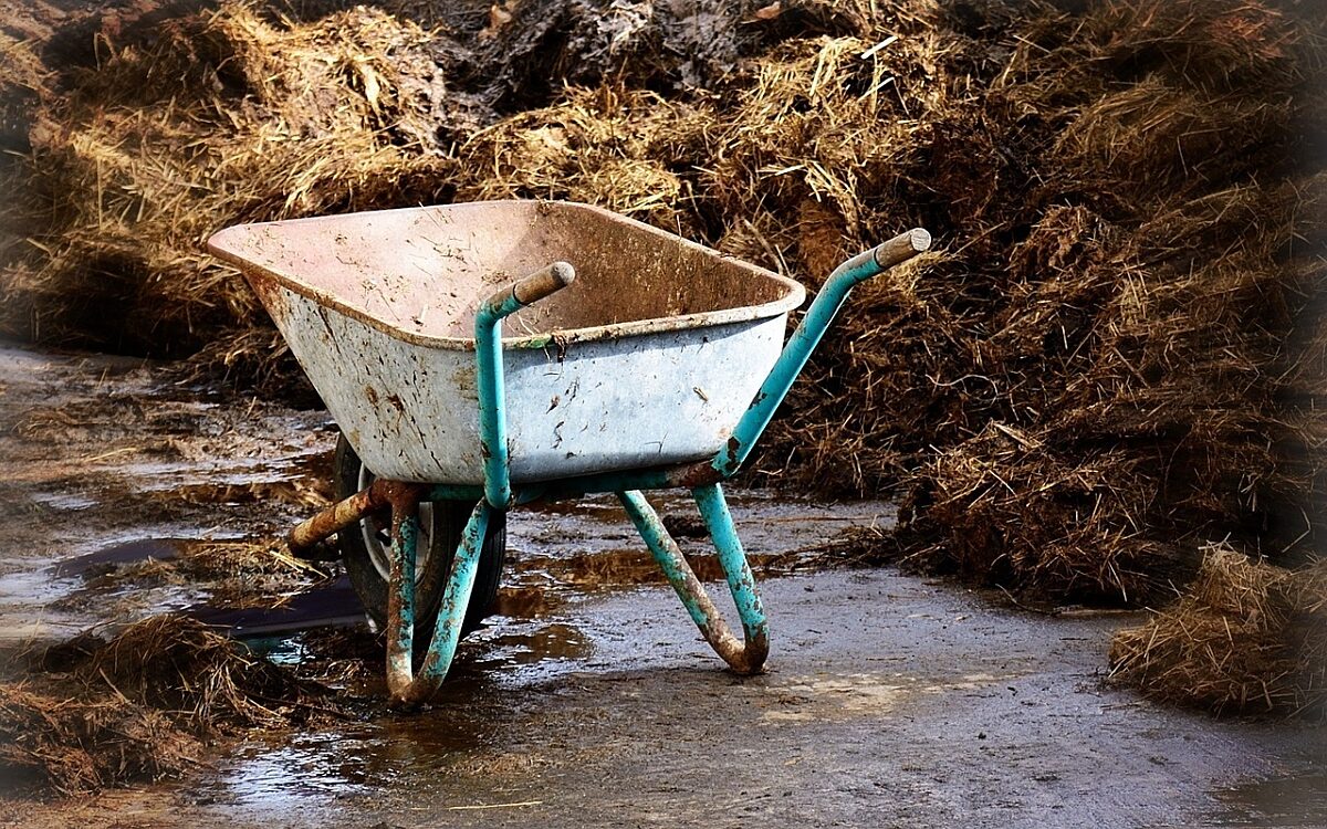 Eine Schubkarre steht vor einem Misthaufen Eine Schubkarre steht vor einem Misthaufen