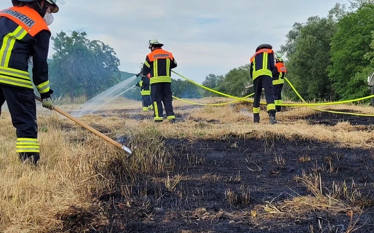 Feuerwehrleute stehen auf einem abgebrannten Feld Feuerwehrleute stehen auf einem abgebrannten Feld