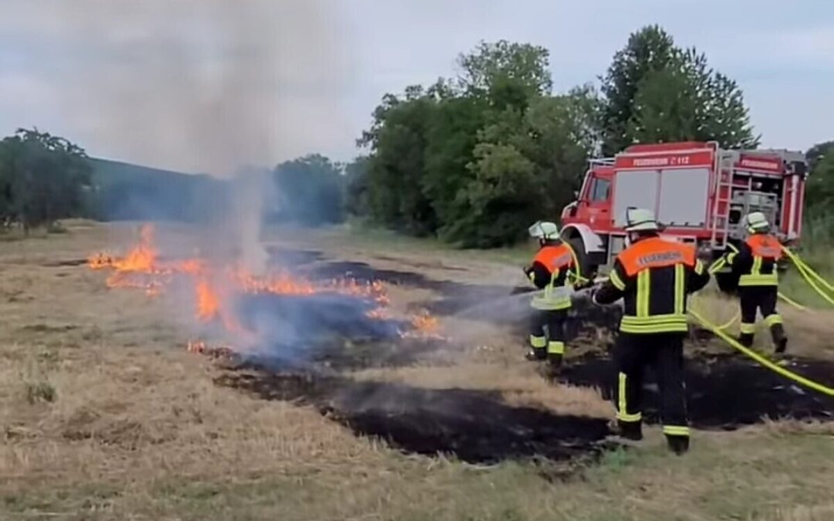 Feuerwehrleute löschen ein brennendes Feld. Das Bild stammt von einer Übung Feuerwehrleute löschen ein brennendes Feld. Das Bild stammt von einer Übung