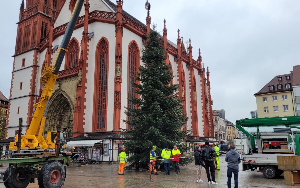 Der Weihnachtsbaum auf dem Unteren Markt in Würzburg steht Der Weihnachtsbaum auf dem Unteren Markt in Würzburg steht