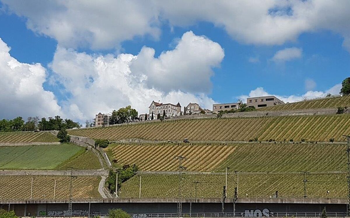 Der Würzburger Stein mit seinen Weinreben und dem Schlosshotel Steinburg Der Würzburger Stein mit seinen Weinreben und dem Schlosshotel Steinburg