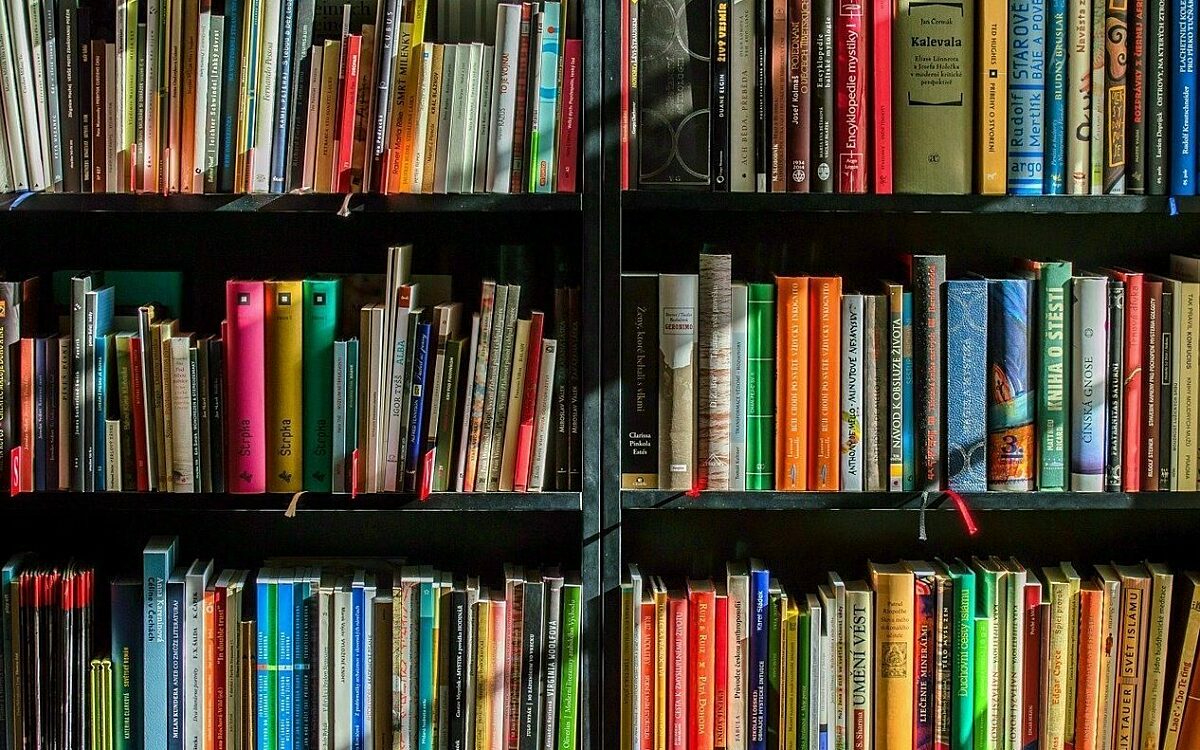 Zahlreiche buecher in einem buecherregal Bunte Buchrücken in einem Bücherregal