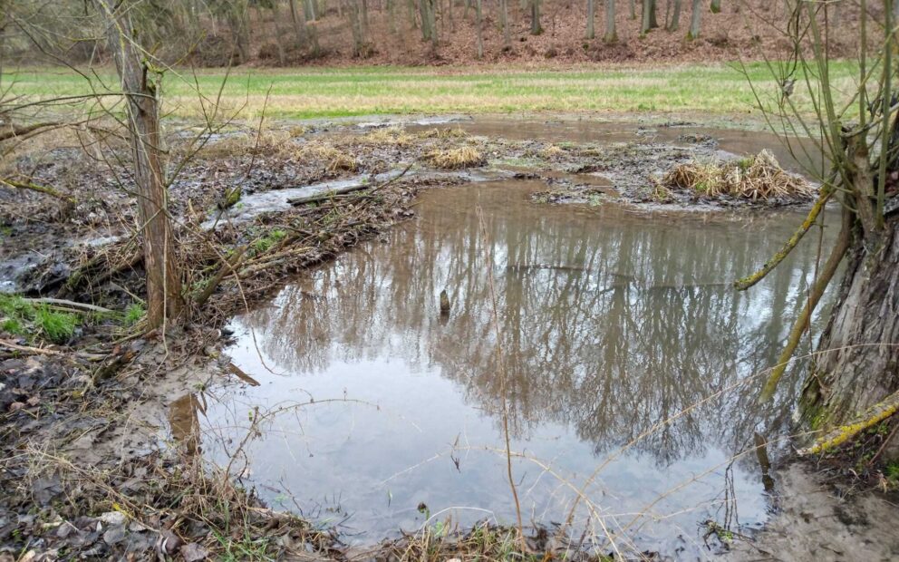 Whats App Image 2022 02 16 at 23 15 04 Whats App Image 2022 02 16 at 23 15 04