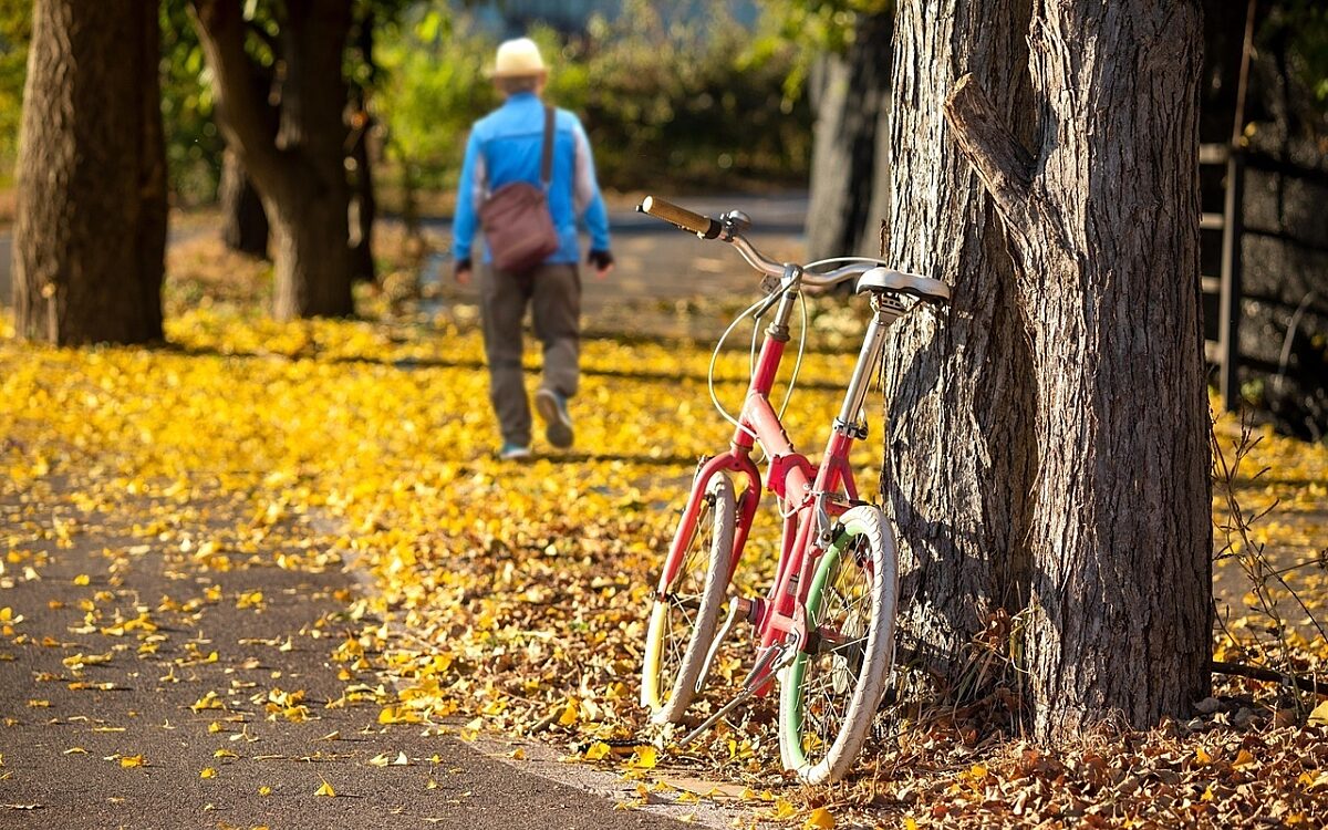 Herbst Rad Foto: pixabay.com Bicycle 7647880 1280 Herbst Rad Foto: pixabay.com Bicycle 7647880 1280